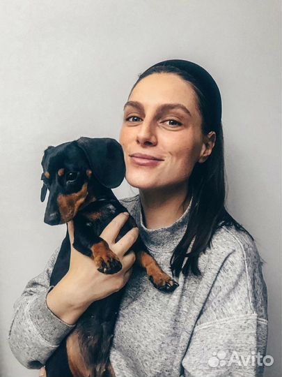 Догситтер/ Передержка собак