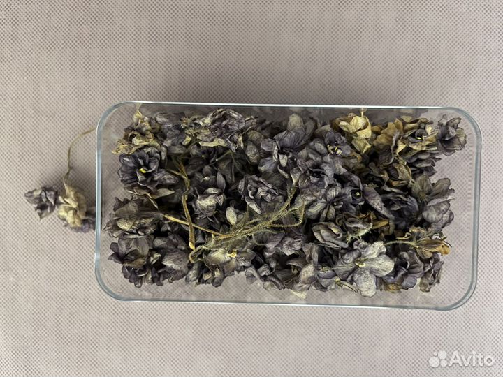 Ракушки, сухоцветы, камушки для творчества