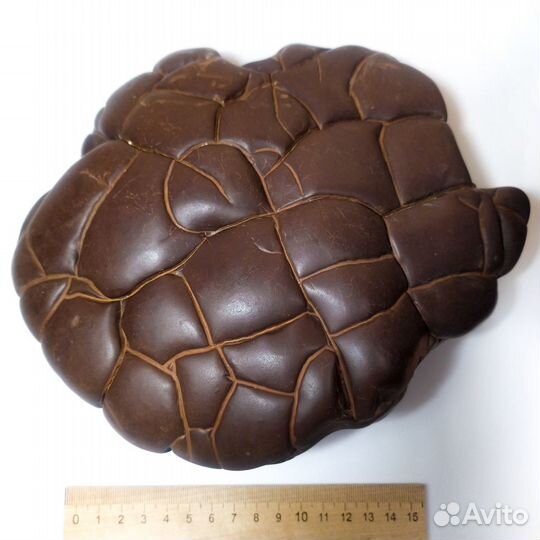 Киммерийцы. Cидерит. Камни. Крым