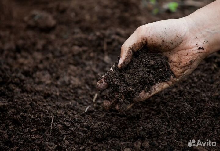 Чернозем, плодородный грунт
