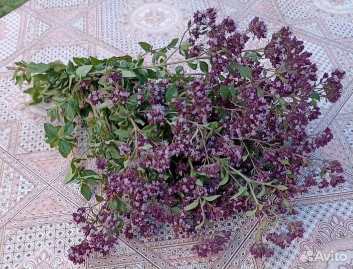 Душица (матрёшка) сушёная