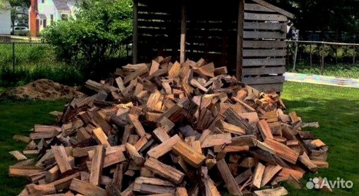 Дрова свежие