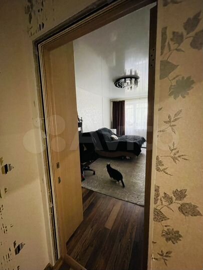 2-к. квартира, 52,3 м², 3/5 эт.