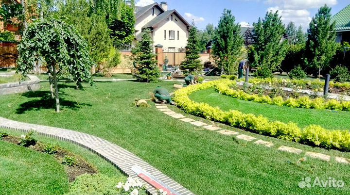 Газон под ключ с доставкой