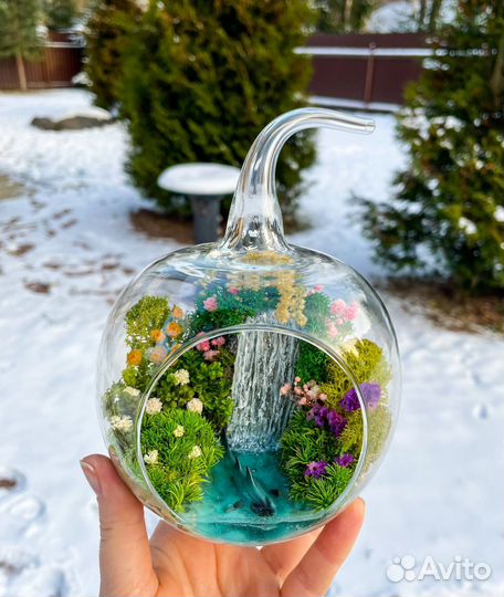 Моссариум в форме яблочко с рыбой, флорариум