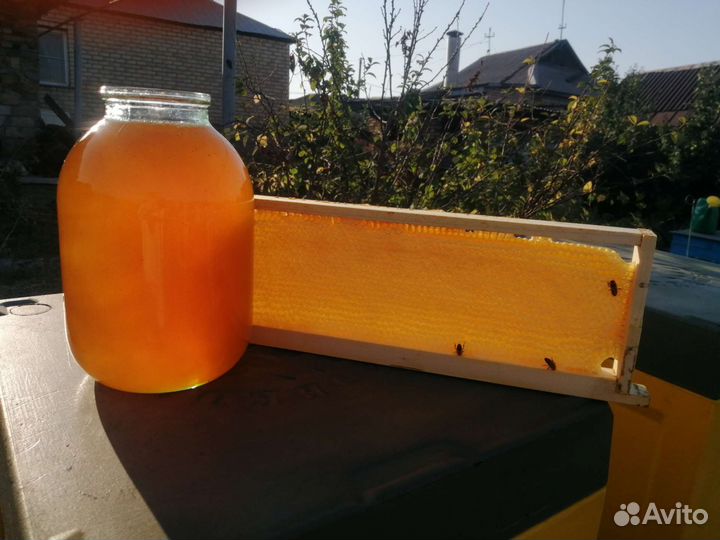 Мед натуральный, липовый, цветочный