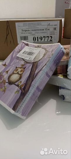 Школьная тетрадь оптом