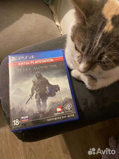 Тени Мордора ps4