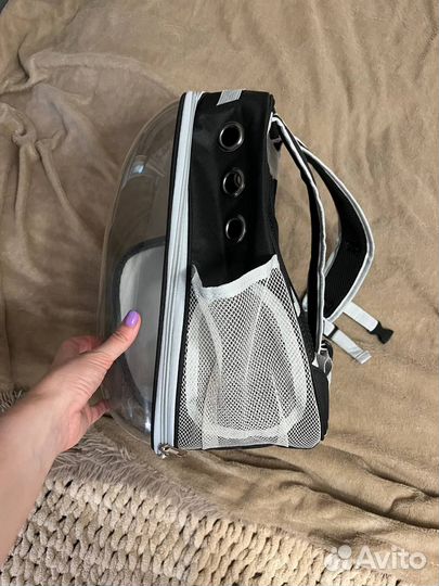 Прозрачный рюкзак-переноска для кошек