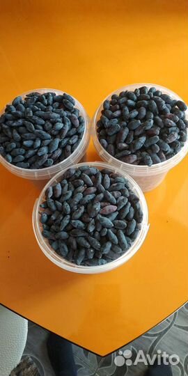 Ягоды жимолости