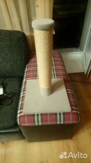 Когтеточка