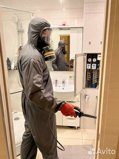 Обработка от тараканов и клопов, уничтожение