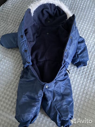 Одежда для собак