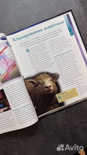 Галилео коллекция развивающих детских журналов