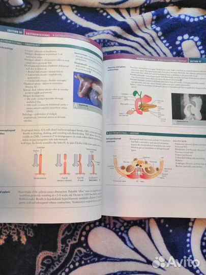 First aid Ford usmle Step1, 2015