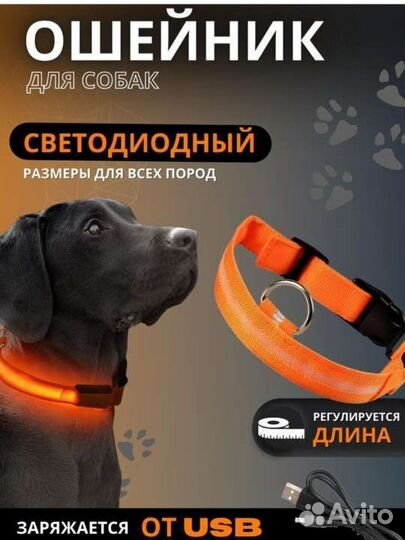 Ошейник светодиодный, новый