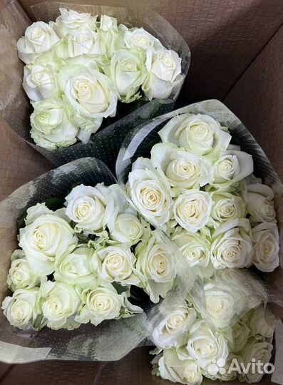 Цветы оптом - розы оптом