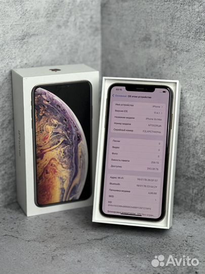 iPhone Xs Max, 256 ГБ