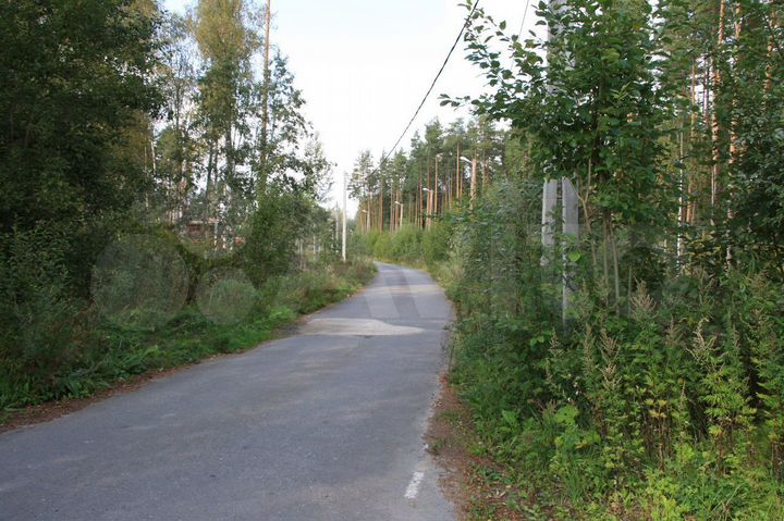 Участок 15,5 сот. (ИЖС)