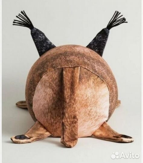 Большой русский кот каракал Шлепа