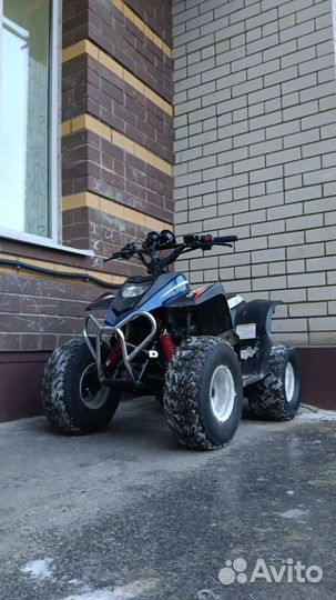 Stels atv 100