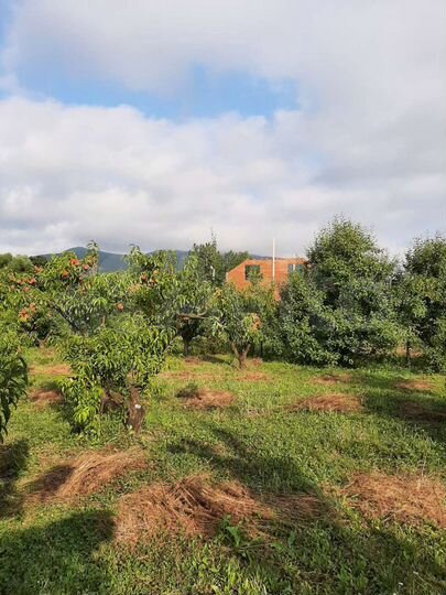 Участок 9,6 сот. (ИЖС)