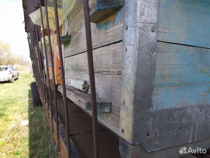 Продается пасека