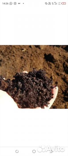 Конский навоз перегной