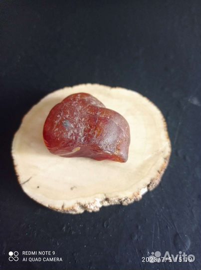 Срез бивня мамонта