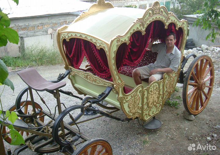 Карета для лошади