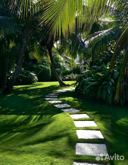 Рулонный газон