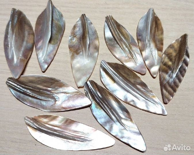 Перламутр листья крупные 12 шт