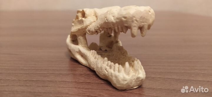 Украшения для аквариума