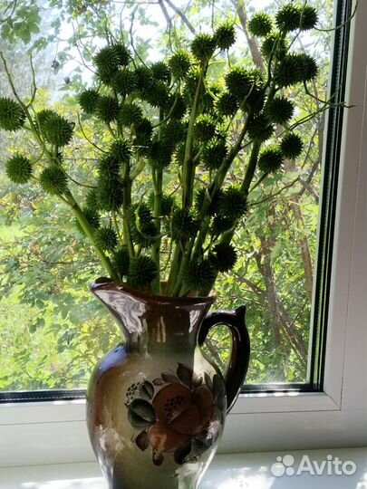 Букеты из ежеголовника