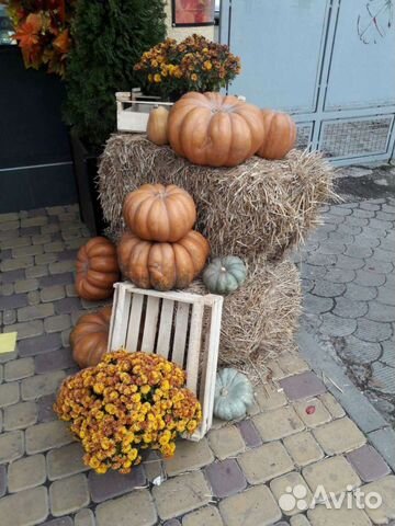 Солома, сено, рядом с вами