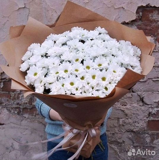 Хризантема