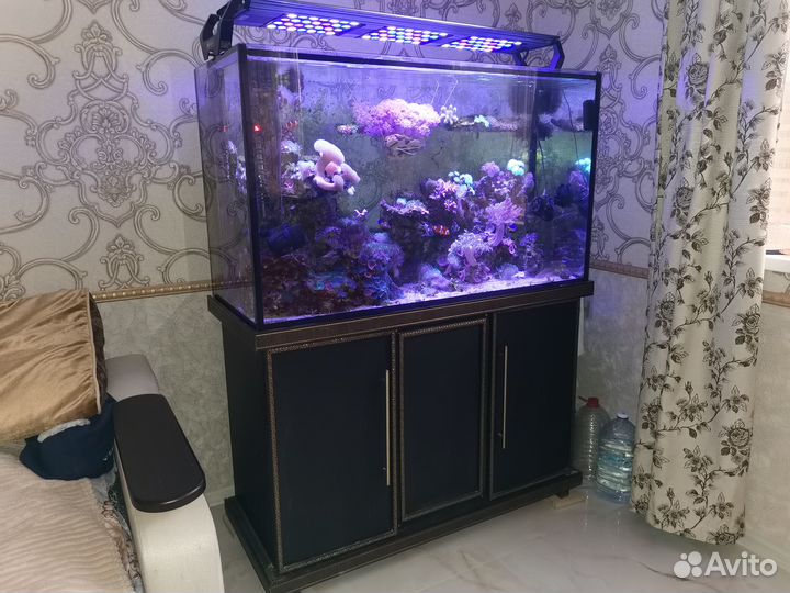 Морской аквариум с рыбками