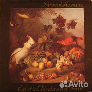 Procol harum - Exotic Birds And Fruit (LP, Used)