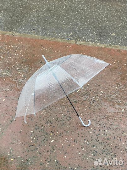 Зонтик прозрачный. Зонт