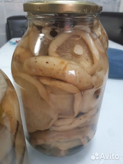 Домашние соленые грузди