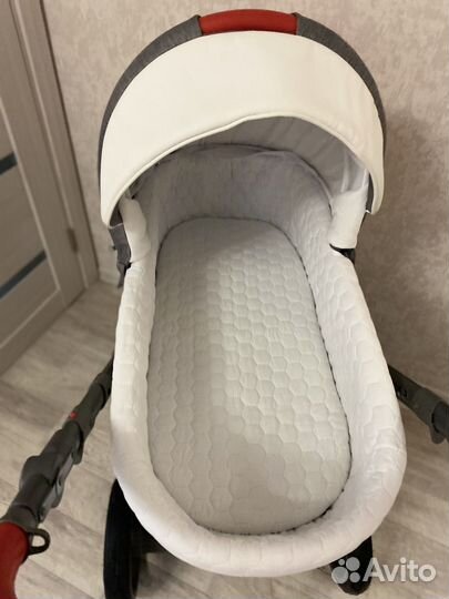 Коляска adamex massimo 2 в 1