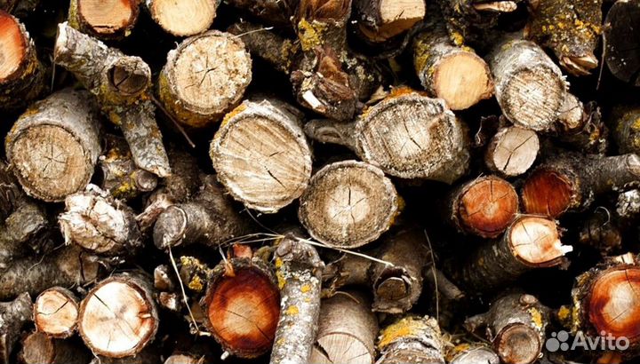 Дрова с Приморска