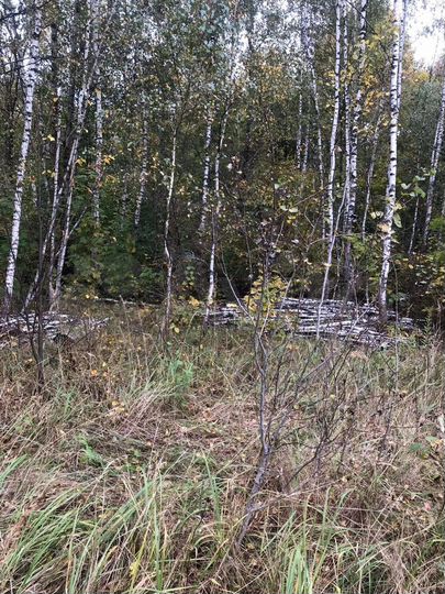 Участок 15 сот. (ИЖС)