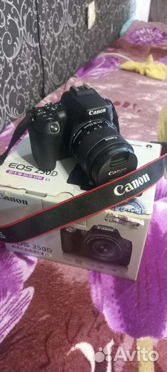 Зеркальный фотоаппарат canon eos 250 d