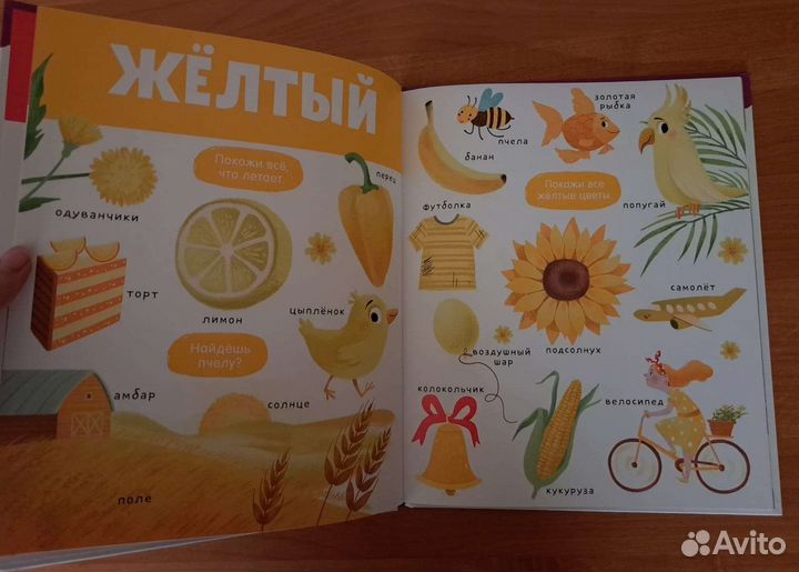 Новые книги 