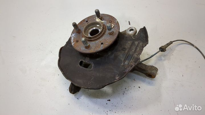 Ступица (кулак, цапфа) Honda Insight 2009, 2010