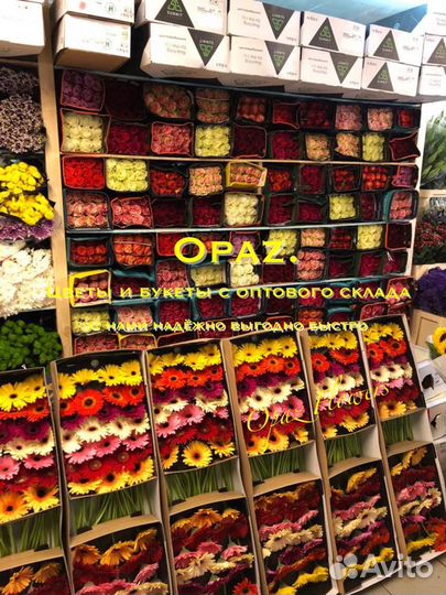 Ирисы цветы