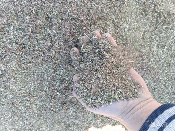 Зерно отходы