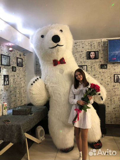 Белый Мишка поздравление