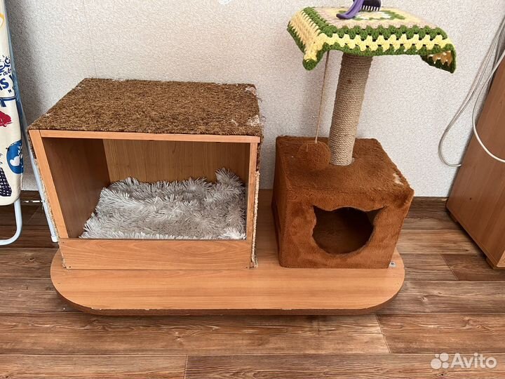 Отдам кота в добрые руки